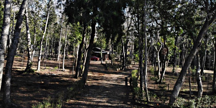 centro turistico el maitenal